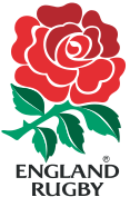 Image of English rose
